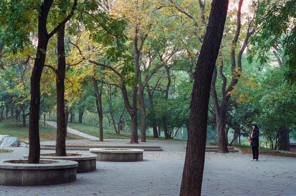 Régime hypocalorique : les alternatives végétales