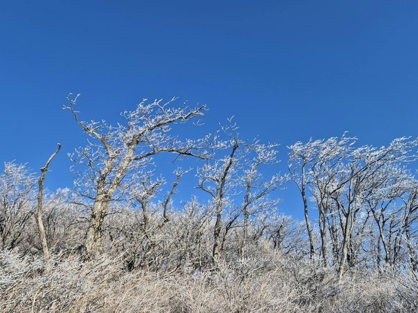 Quels sont les bénéfices des programmes de soutien par les pairs pour les adolescents en difficulté scolaire?